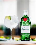 Gin and Tonic with Tanqueray Premium London Dry Gin 